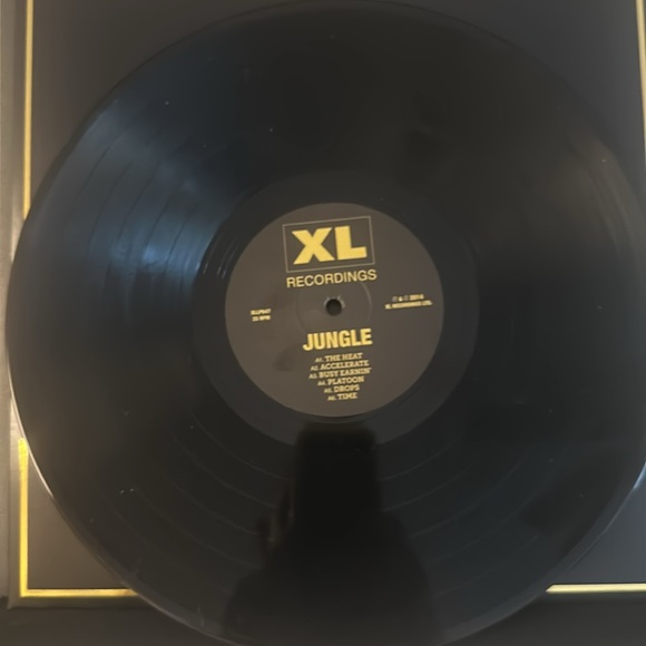 Jungle Vinyl Record with Gold Accents - Picture 6 of 7